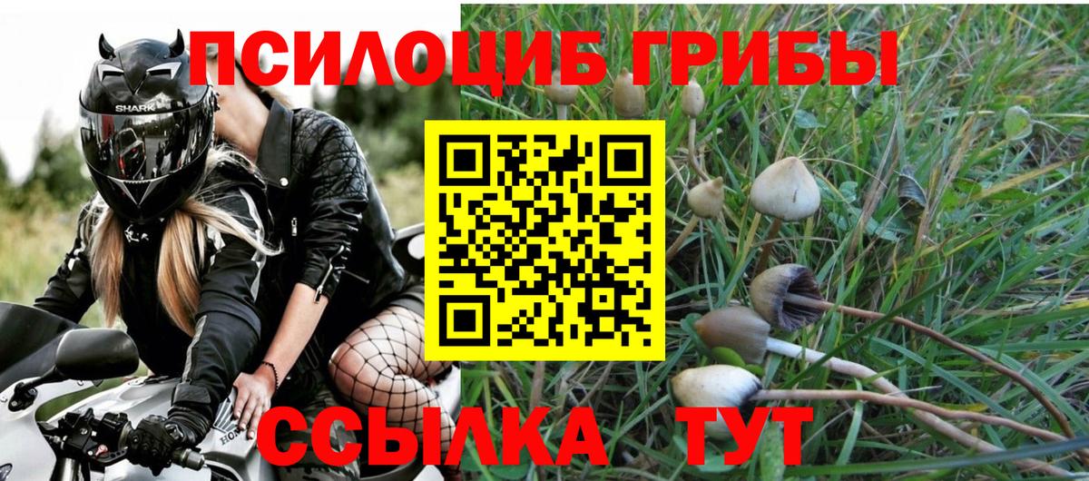 Нижнеудинск  Псилоцибиновые грибы Psilocybine cubensis  Вход с VPN 